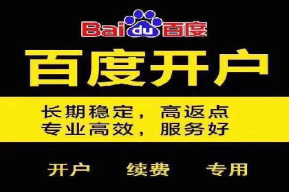 百度搜索广告案例：如何通过精准投放提高转化率